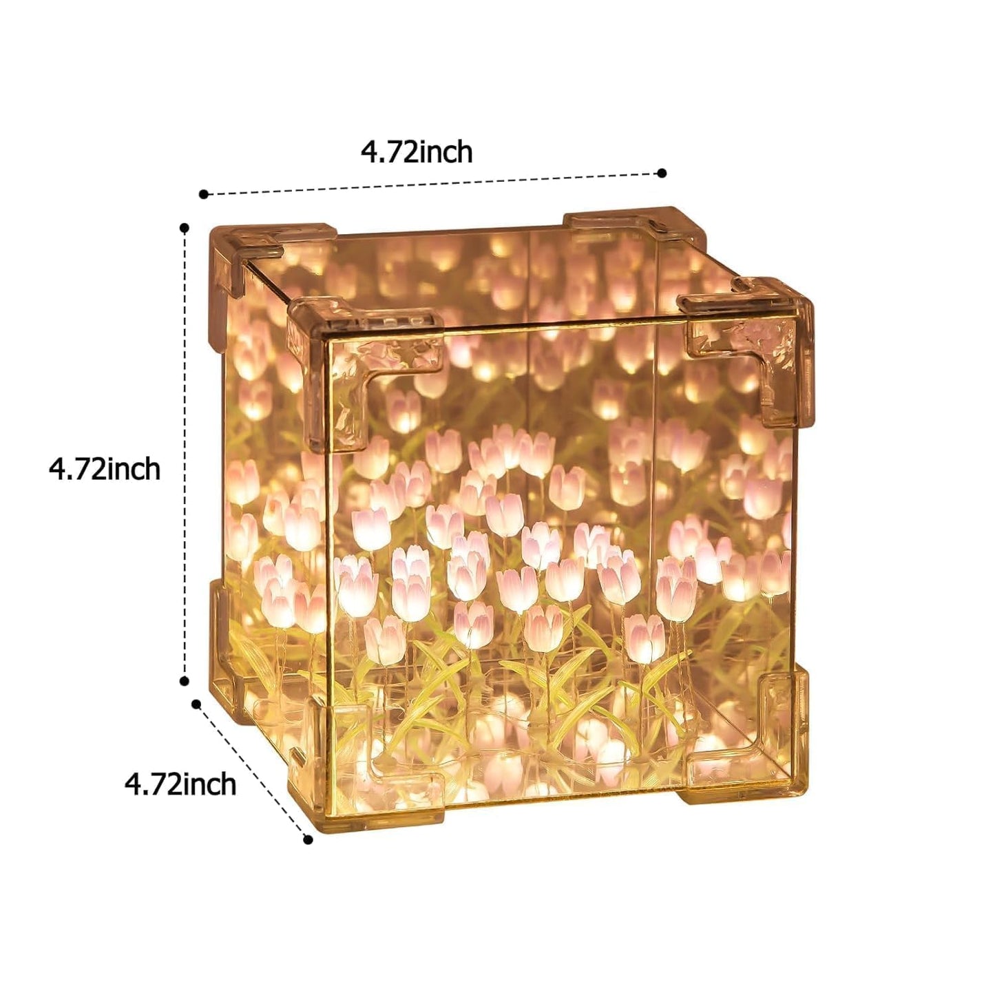 Square Tulip Lamp