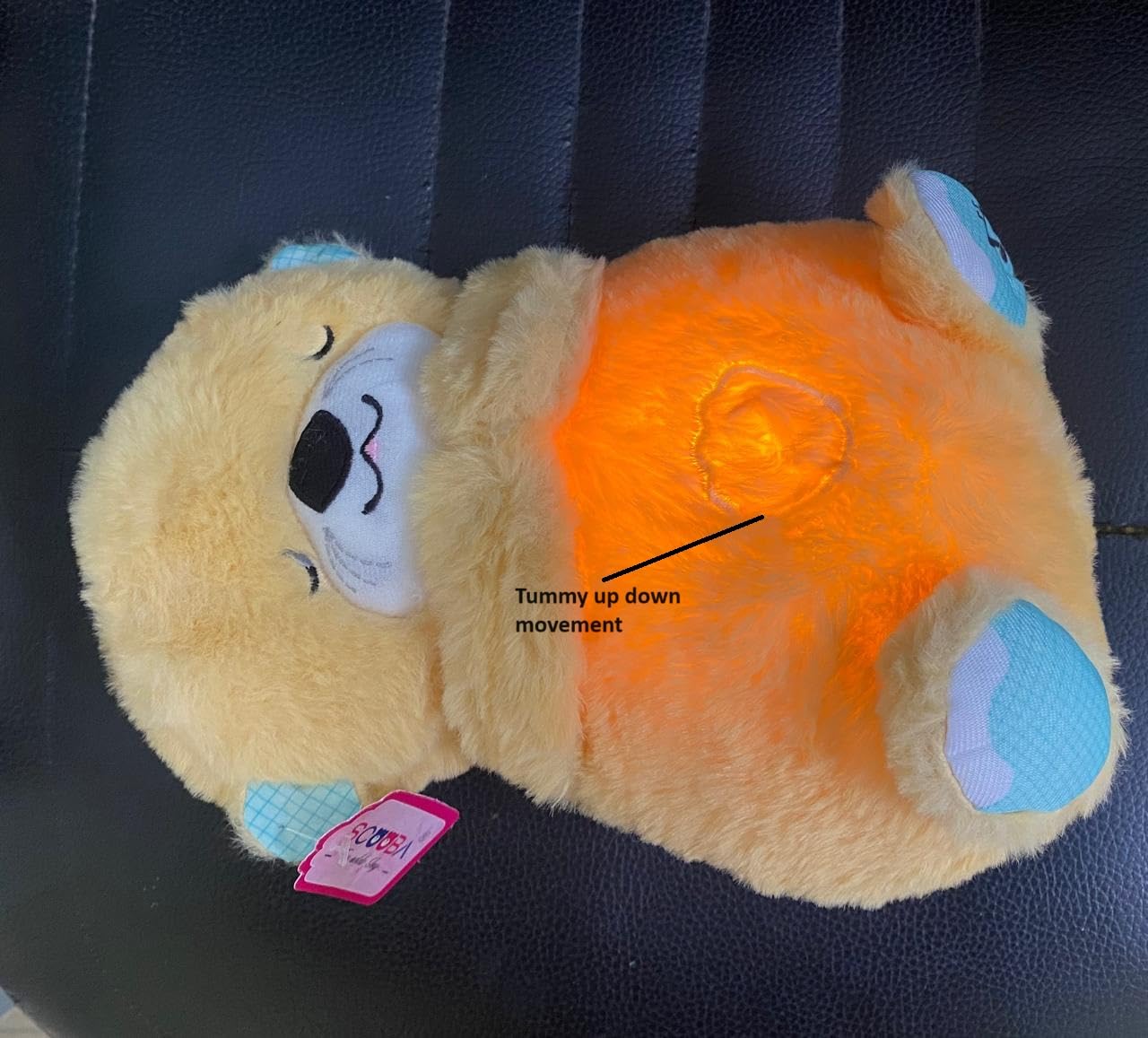 Breathing Teddy Bear